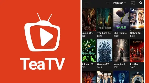 Tea TV APK Download v10.8.4 [Roku Version] For Android